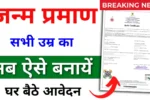Birth Certificate Online 2025